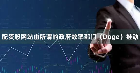 配资股网站由所谓的政府效率部门（Doge）推动