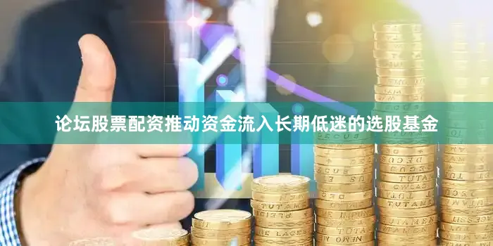论坛股票配资推动资金流入长期低迷的选股基金