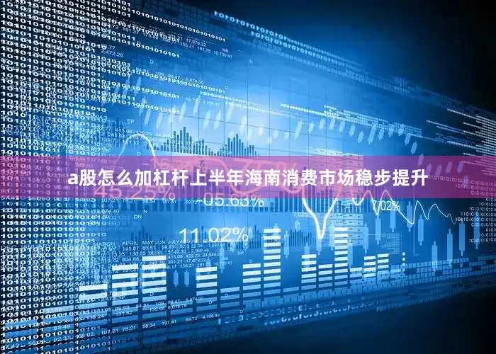 a股怎么加杠杆上半年海南消费市场稳步提升