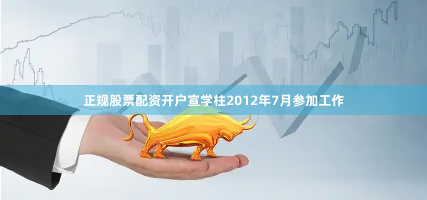 正规股票配资开户宣学柱2012年7月参加工作